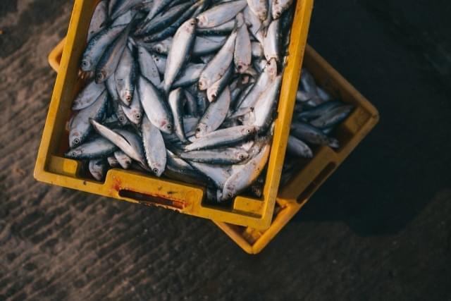 What to eat in Pantelleria and where: 10 typical dishes and best restaurants